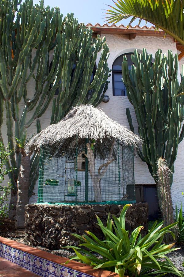 Miramar Boutique Apartments Adults Only Corralejo Exterior foto
